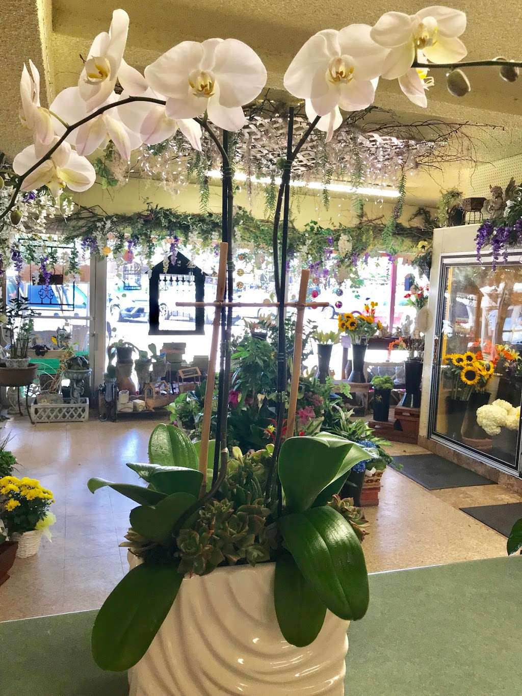 Cypress Florist | 4136 Lincoln Ave, @, Bloomfield St, Cypress, CA 90630, USA | Phone: (714) 527-2941