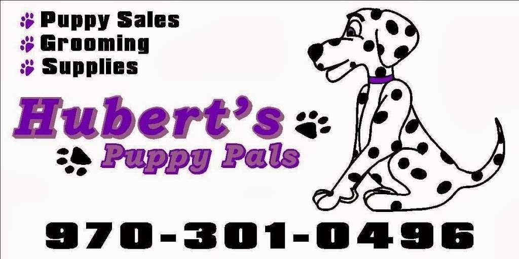 Huberts Puppy Pals | 135 8th St, Greeley, CO 80631, USA | Phone: (970) 301-0496