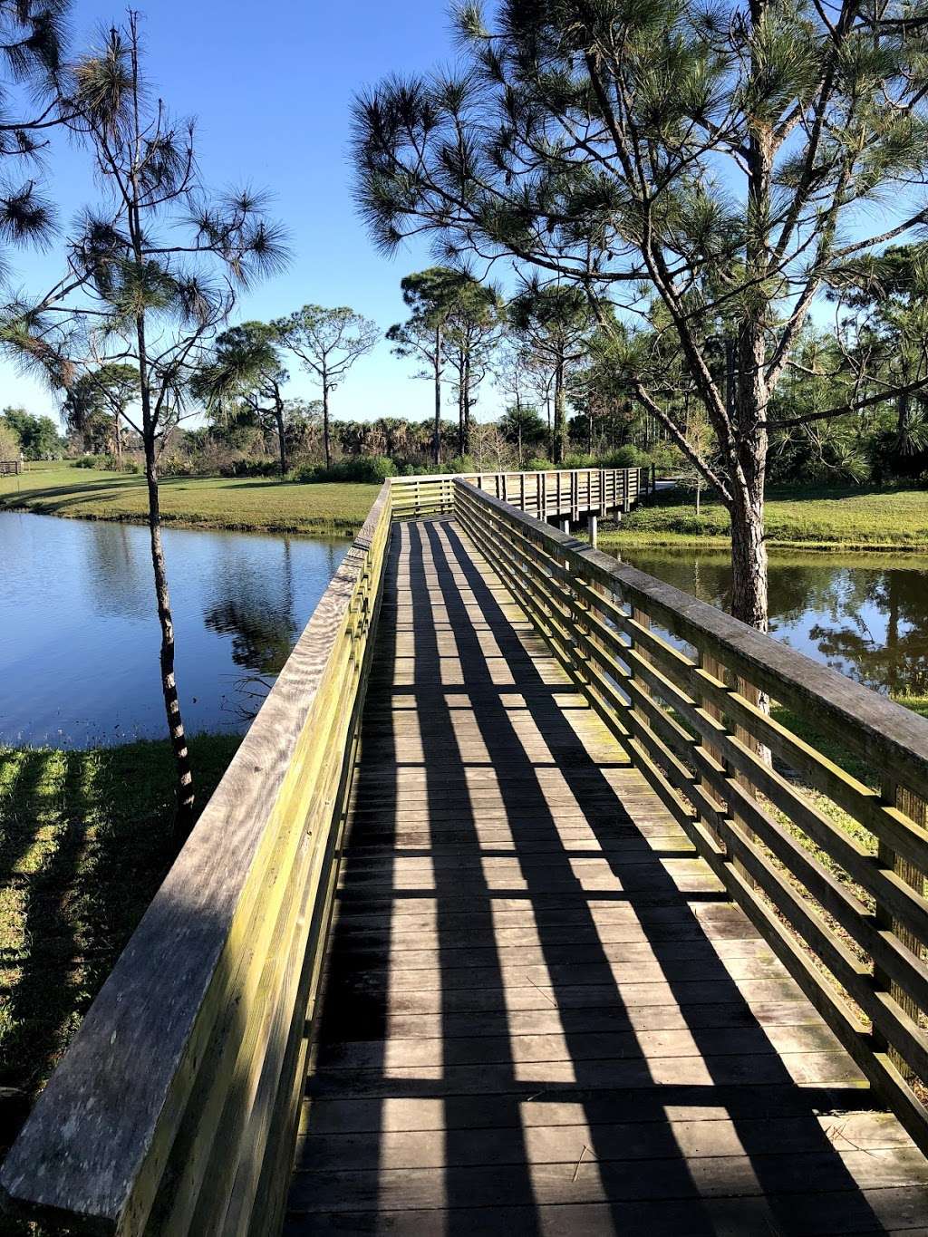 North Jupiter Flatwoods Natural Area | Misty Lake Pl, Jupiter, FL 33458, USA