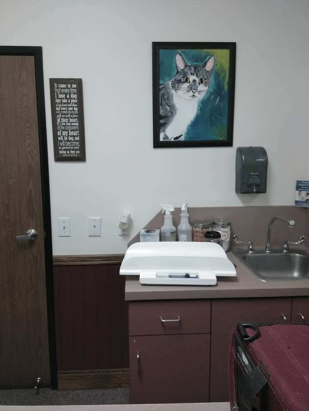 Valley Animal Hospital | 993 W Valley Blvd #120, Bloomington, CA 92316, USA | Phone: (909) 877-2384