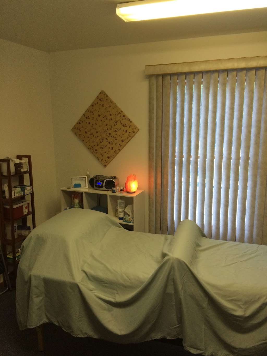 SuZen Acupuncture | 575 W Exchange St, Crete, IL 60417 | Phone: (708) 612-4421