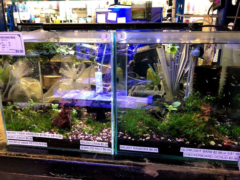 Underwater Depot | 13708 Ventura Blvd, Sherman Oaks, CA 91423 | Phone: (818) 789-7323