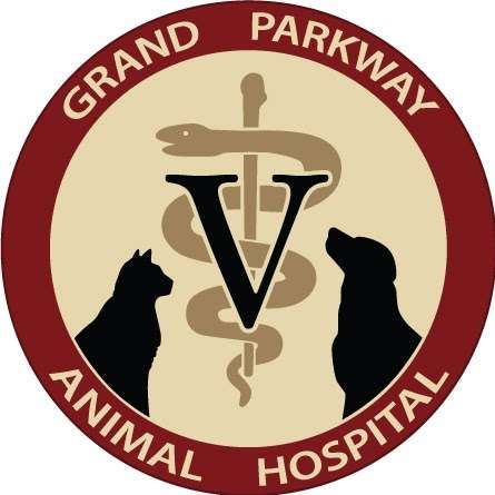 Grand Parkway Animal Hospital | 5818 New Territory Blvd, Sugar Land, TX 77479 | Phone: (281) 277-8387