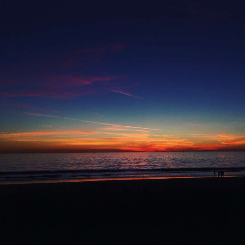 The venice dunes | 2100-2198 Ocean Front Walk, Venice, CA 90291, USA