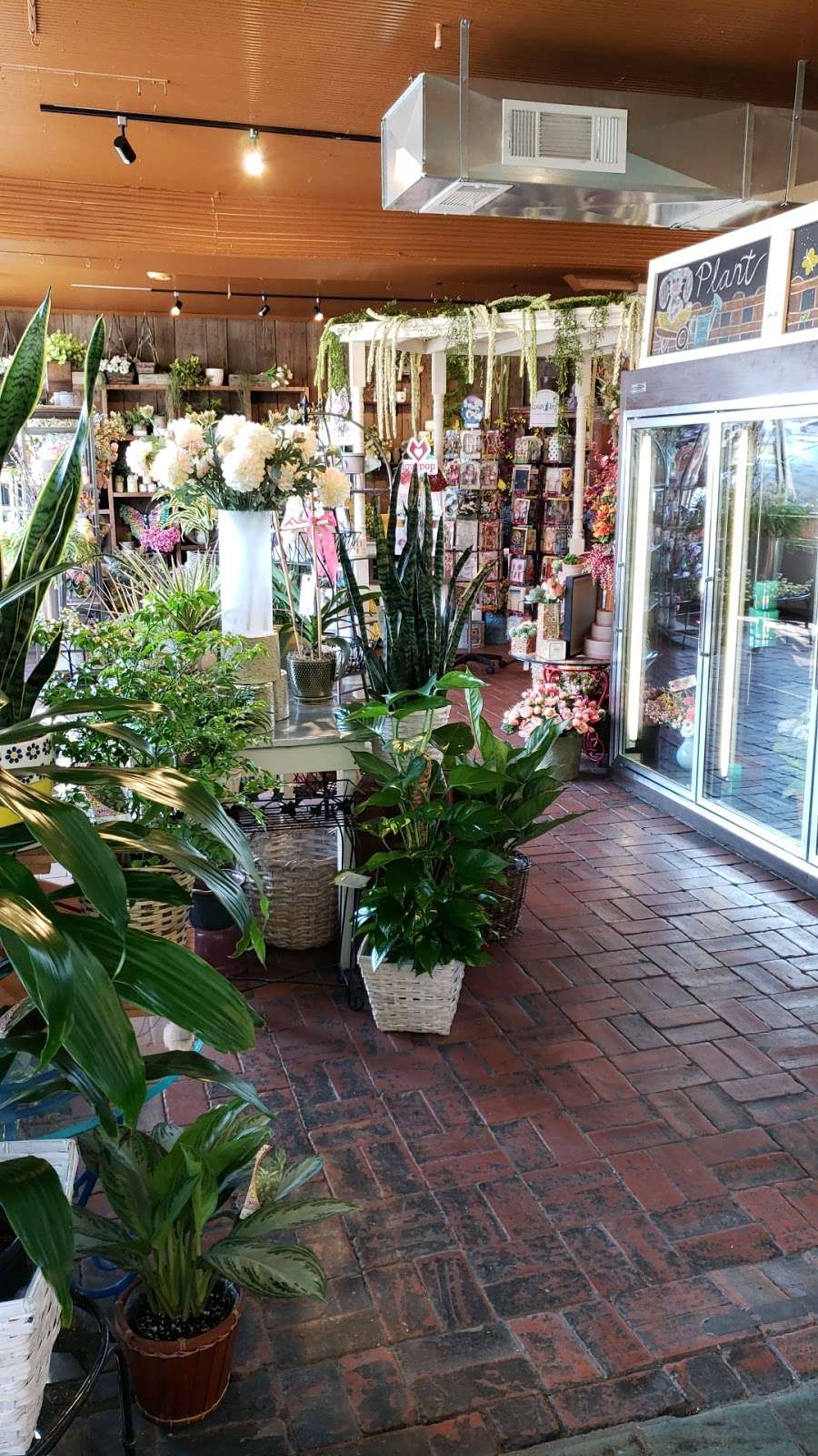 Owens Flower Shop | 846 Indiana St, Lawrence, KS 66044, USA | Phone: (785) 843-6111