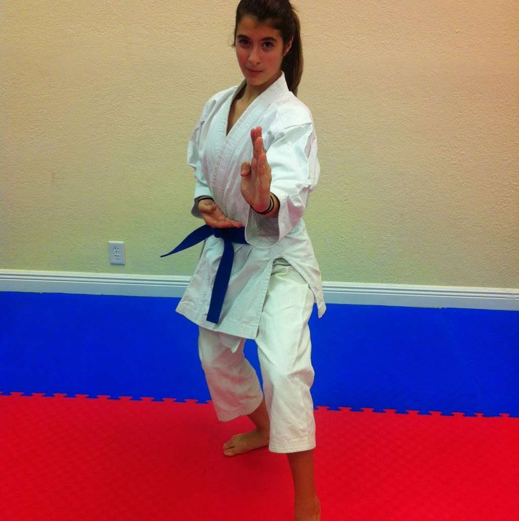 South East Japanese Karate | 7400 N Federal Hwy, Boca Raton, FL 33487, USA | Phone: (561) 305-2316