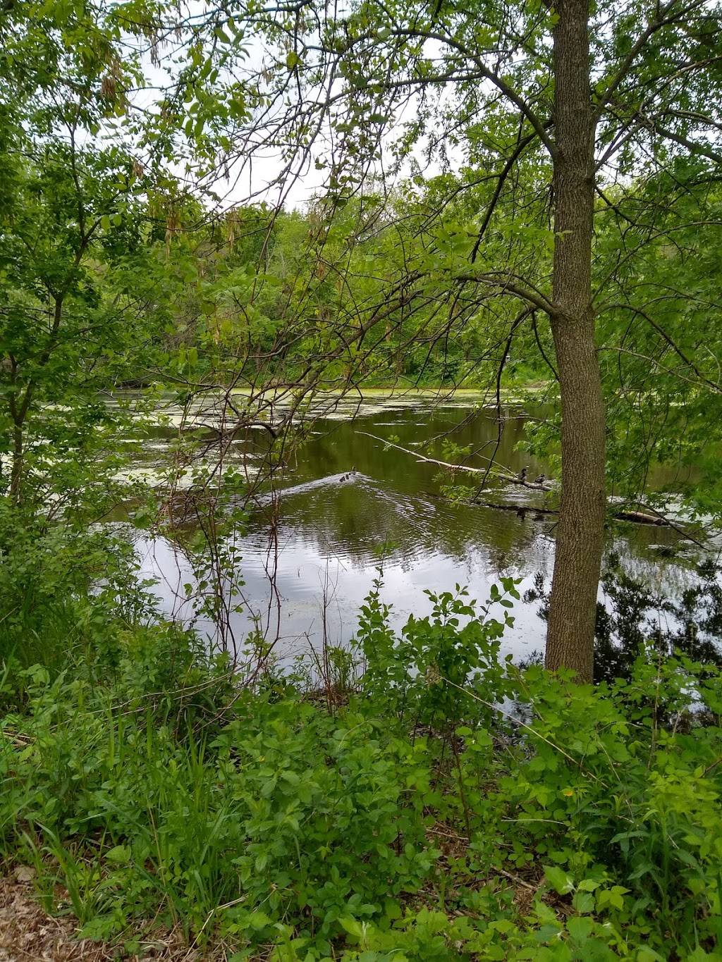 Southwood Nature Preserve | 2651 Holloway Ave E, North St Paul, MN 55109, USA | Phone: (651) 747-2400
