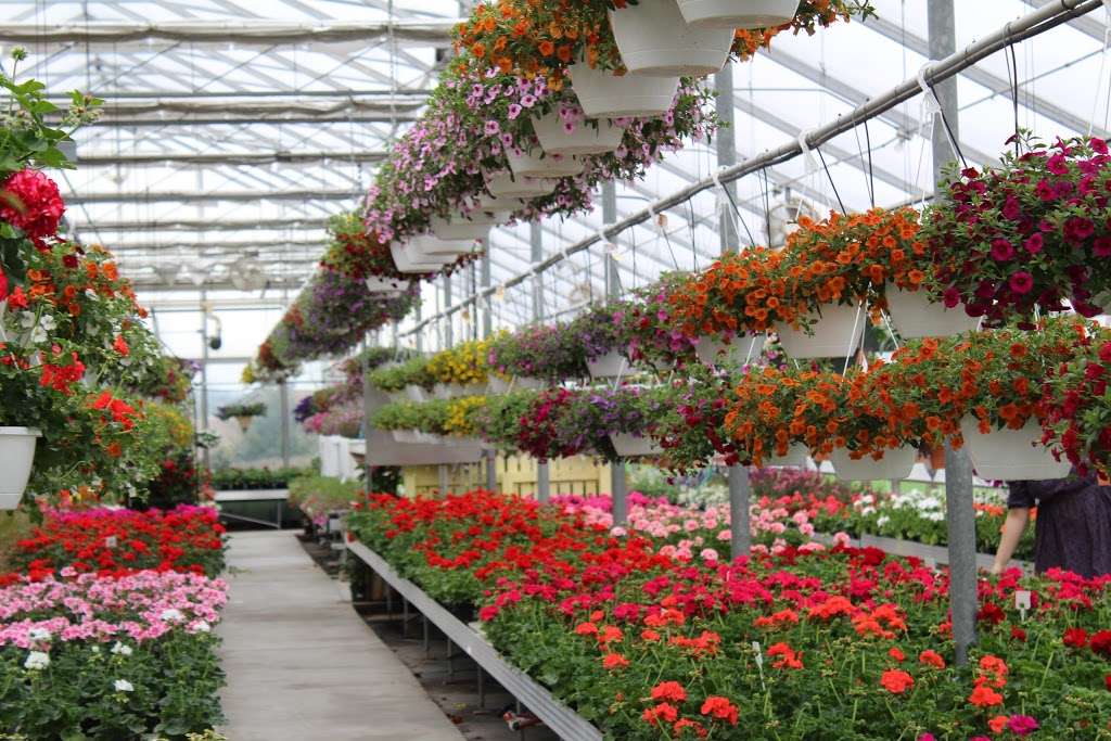 Wengers Greenhouse | 150 Wissler Rd, Lititz, PA 17543, USA | Phone: (717) 733-8658