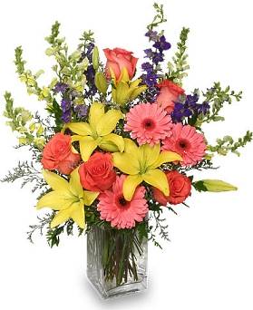 ROCKVILLE FLORIST & GIFT BASKETS | 4507 Strathmore Ave, Garrett Park, MD 20896, USA | Phone: (301) 984-3555