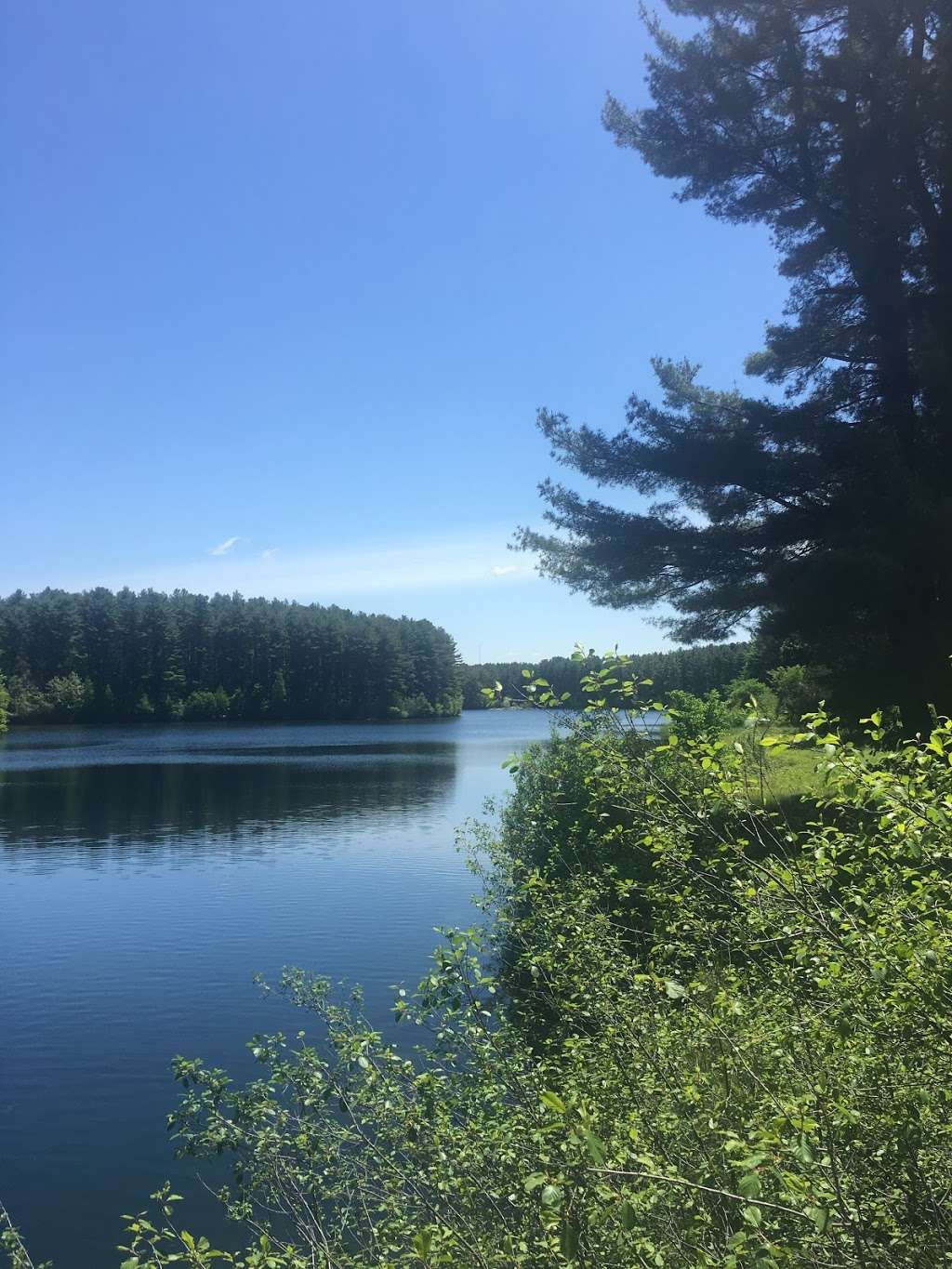 Reservoir Walking Trail / Dog Walk | 117 Ash St, Weston, MA 02493, USA