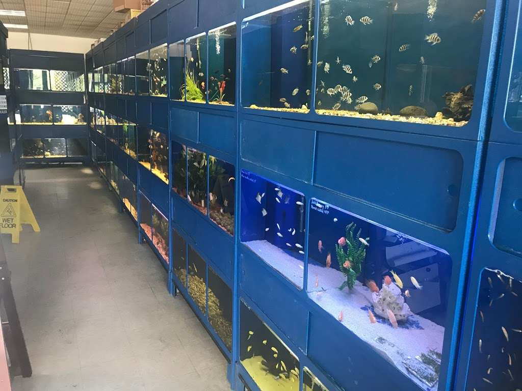 BB Fish and Pets | 9226 Cypress Creek Pkwy, Houston, TX 77070, USA | Phone: (281) 469-3756