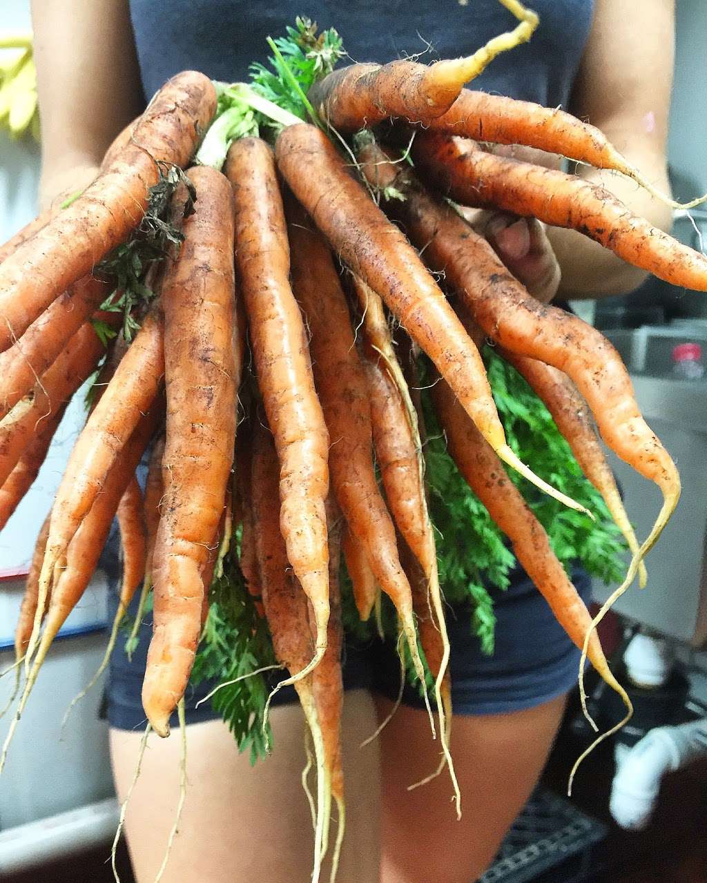 Hayfields 1 Bloomer Rd, North Salem, NY 10560