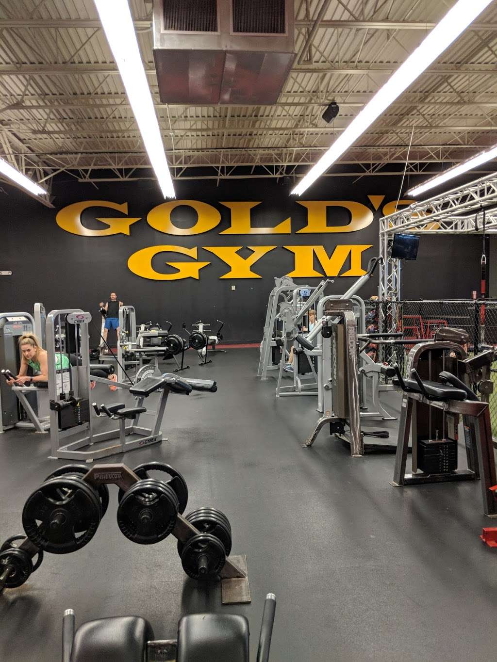 Golds Gym Conroe | 1306 W Davis St ste b, Conroe, TX 77304, USA | Phone: (936) 756-6000