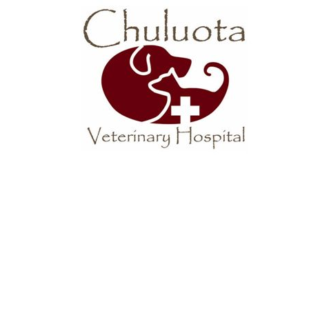 Chuluota Veterinary Hospital | 950 County Rd 419, Chuluota, FL 32766 | Phone: (407) 366-3233