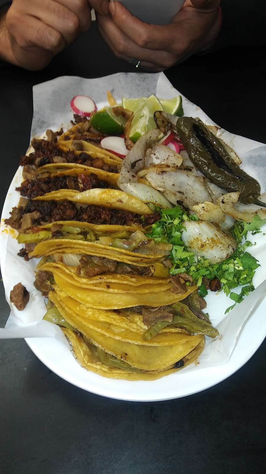 La Salsa Verde Taqueria | 2728 Community Dr, Dallas, TX 75220, USA | Phone: (214) 366-0999