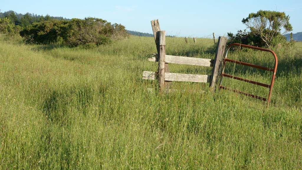 Bolinas Ridge Trailhead | Bolinas Ridge Trail, Point Reyes Station, CA 94956, USA