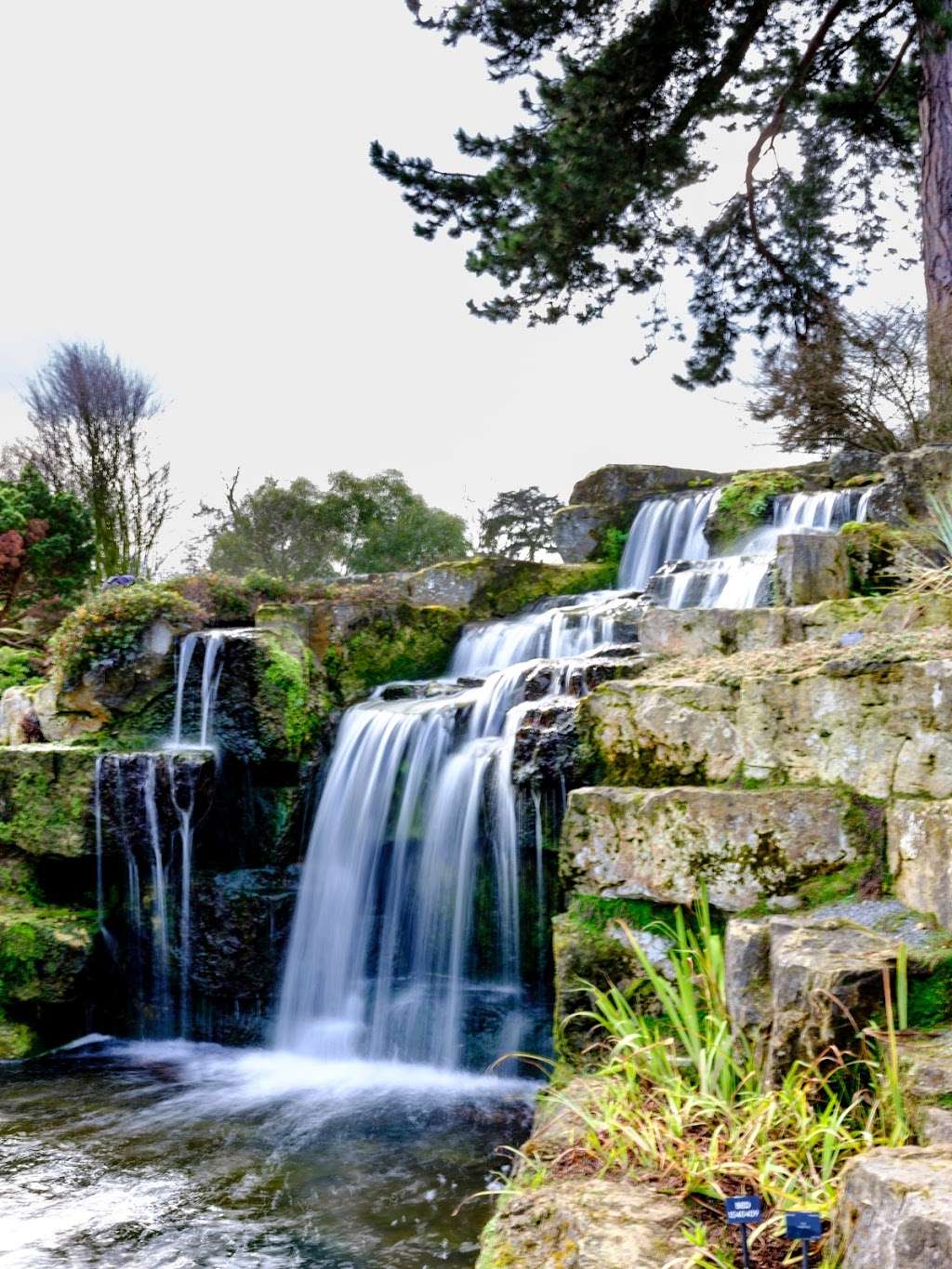 The Rock Garden | Kew Gardens, Richmond TW9 3DU, UK