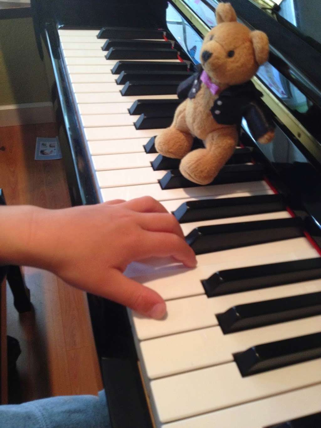 Piano for Tiny Fingers | 519 Quail Gardens Dr, Encinitas, CA 92024, USA | Phone: (760) 994-8714