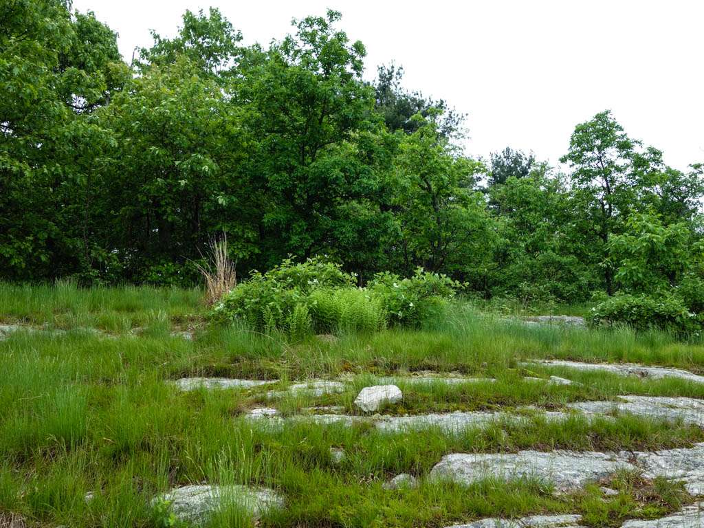 Rattlesnake Mountain | Appalachian Trail, Layton, NJ 07851, USA