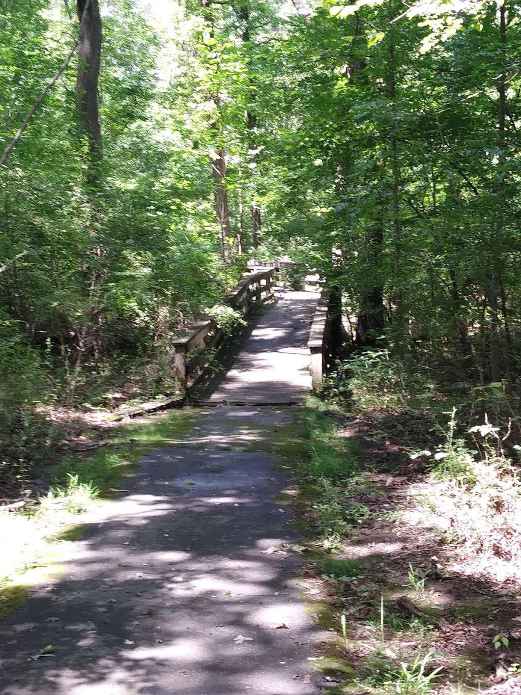 Milford Mill Gwynn Falls Trail | 989 Milford Mill Rd, Milford Mill, MD 21208, USA | Phone: (410) 887-0700