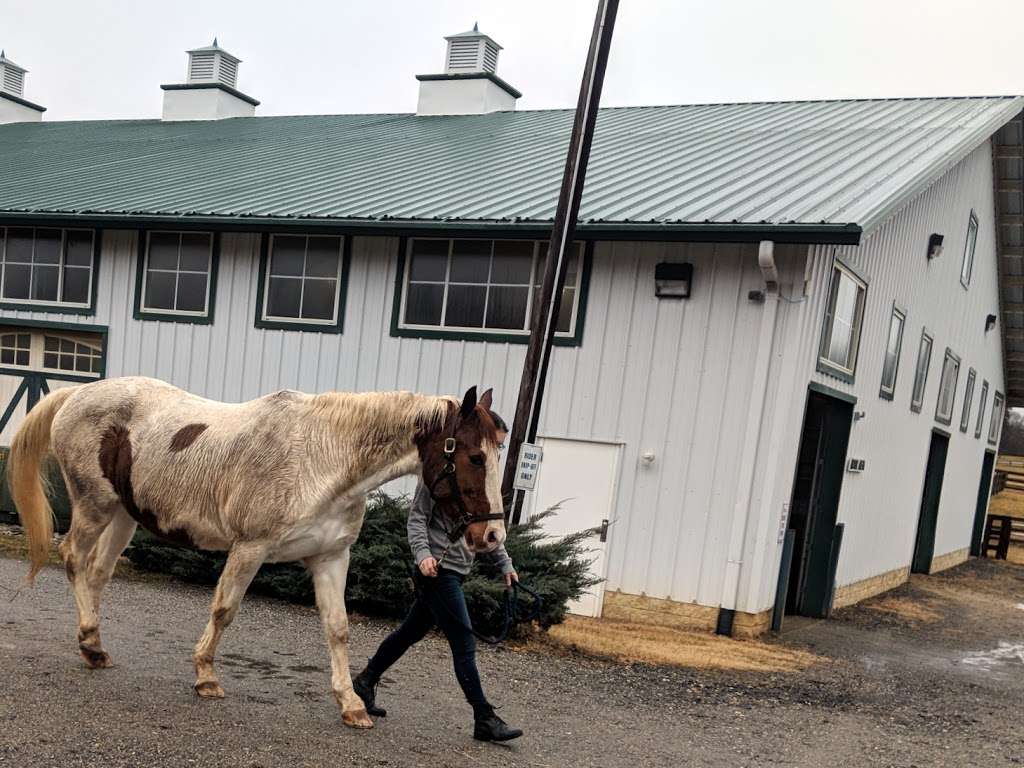 Maryland Therapeutic Riding | 1141 Sunrise Beach Rd, Crownsville, MD 21032, USA | Phone: (410) 923-6800