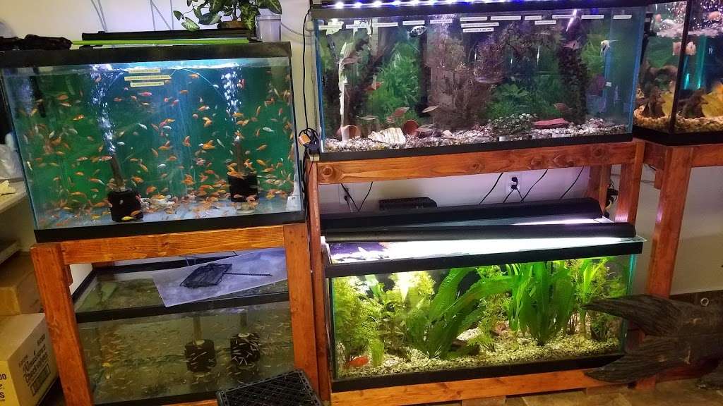 One Fish Two Fish | 2048 US-209, Brodheadsville, PA 18322, USA | Phone: (570) 992-1230