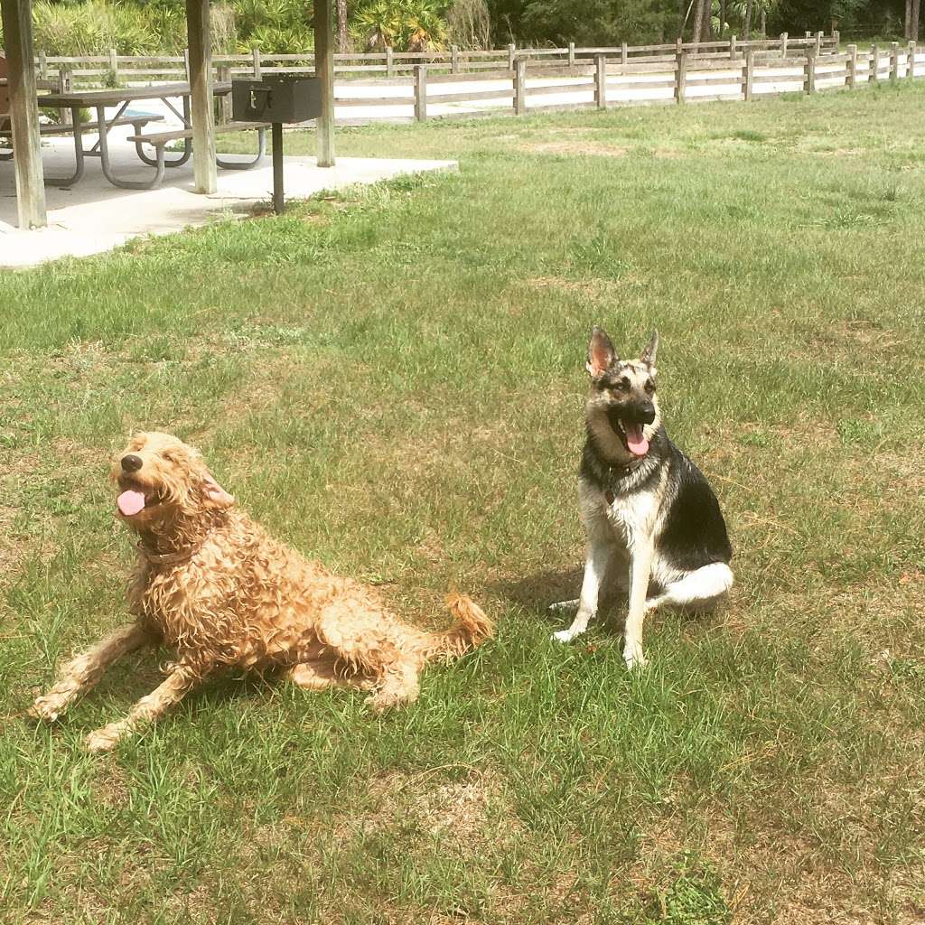 Bear Pond Trail Head FloridaTrail | 31852 Wekiva River Rd, Sorrento, FL 32776, USA