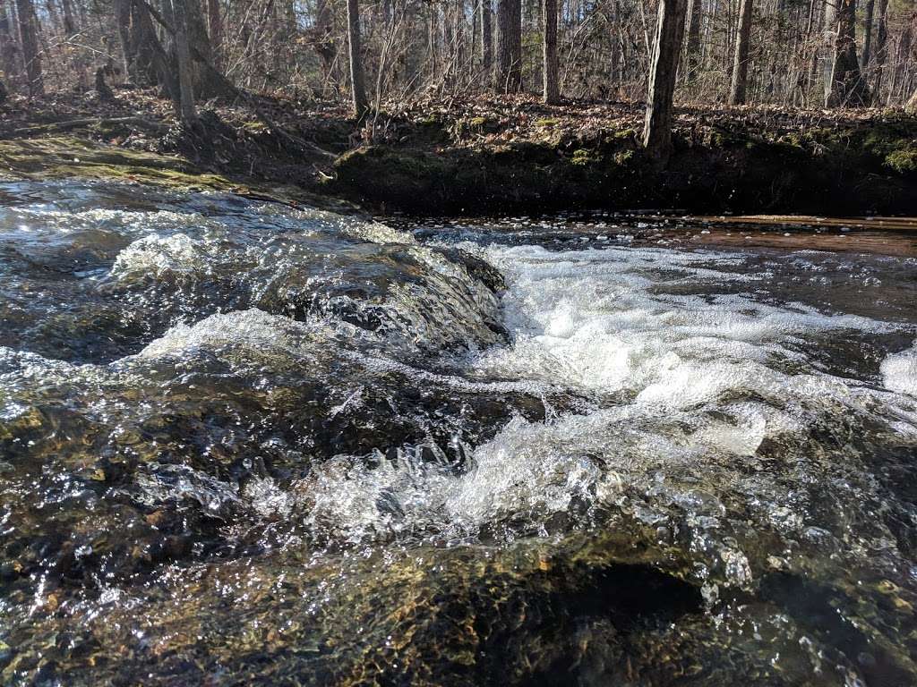 Poor Farm Park | 13400 Liberty School Rd, Ashland, VA 23005, USA | Phone: (804) 275-0722