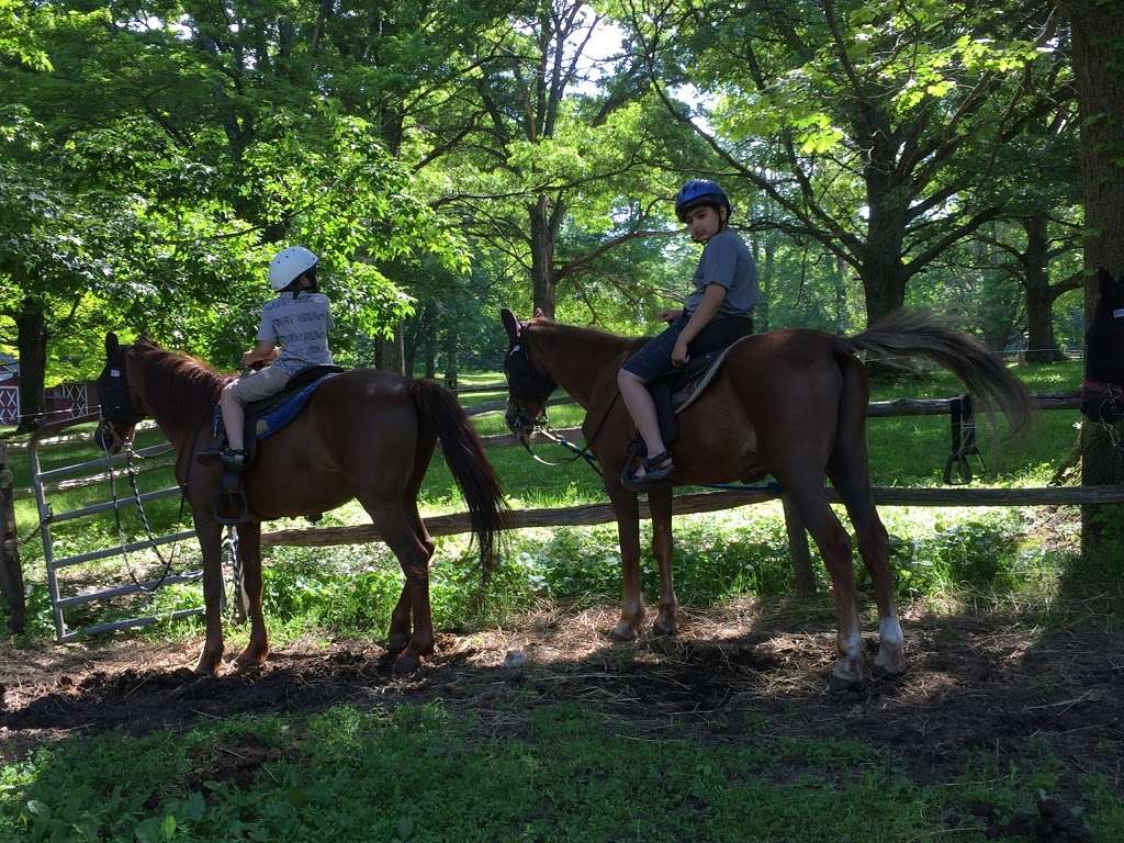 Sugar Mountain Carriages | Sugar Mountain Rd W, Bushkill, PA 18324, USA | Phone: (570) 588-3063