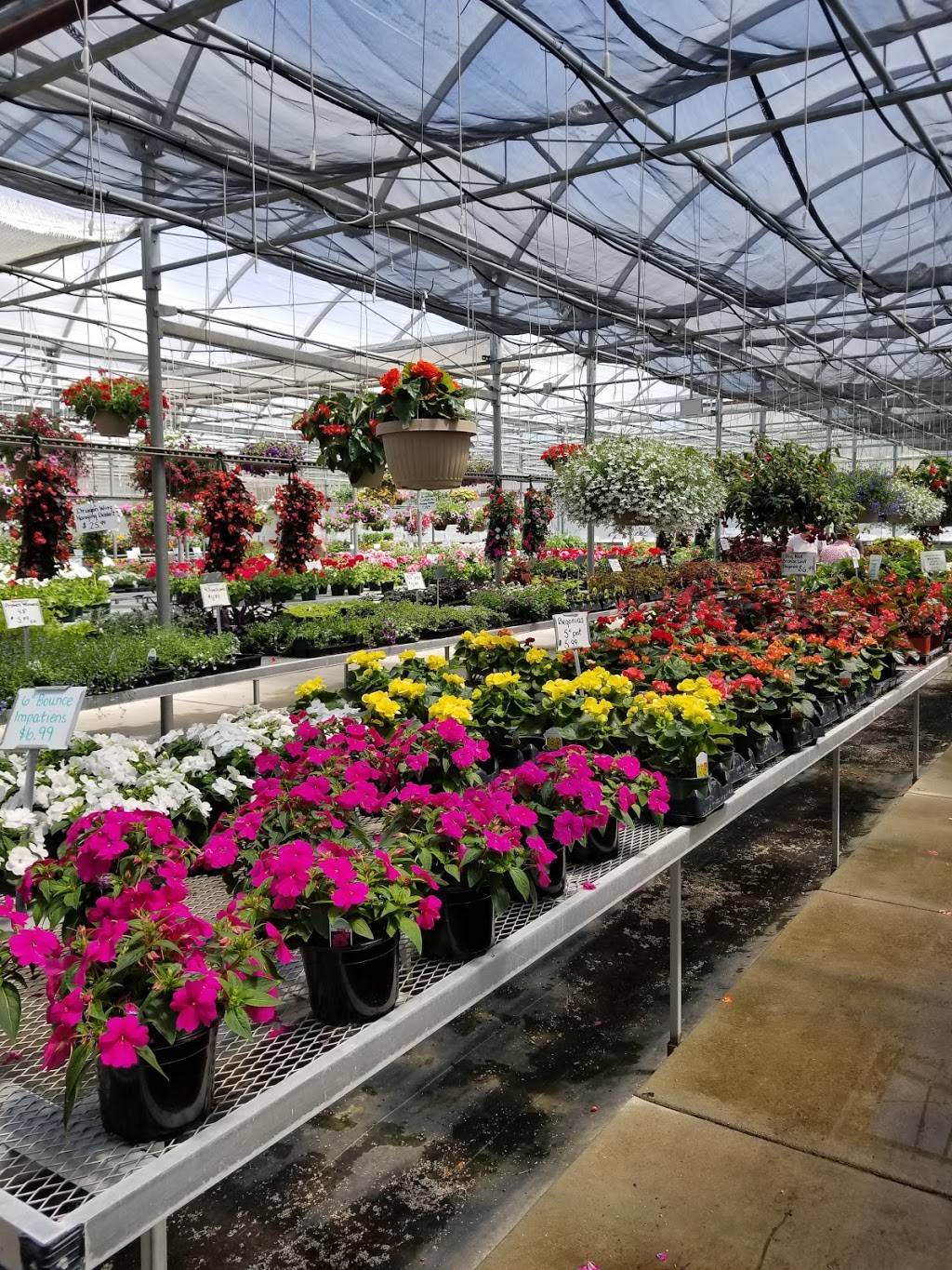 Orchids Garden Center & Nursery | 4823 Co Rd Q, Waunakee, WI 53597, USA | Phone: (608) 831-4700