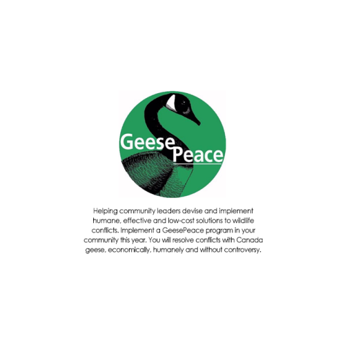 Geesepeace Inc | 6405 Lakeview Dr, Falls Church, VA 22041, USA | Phone: (703) 354-1713