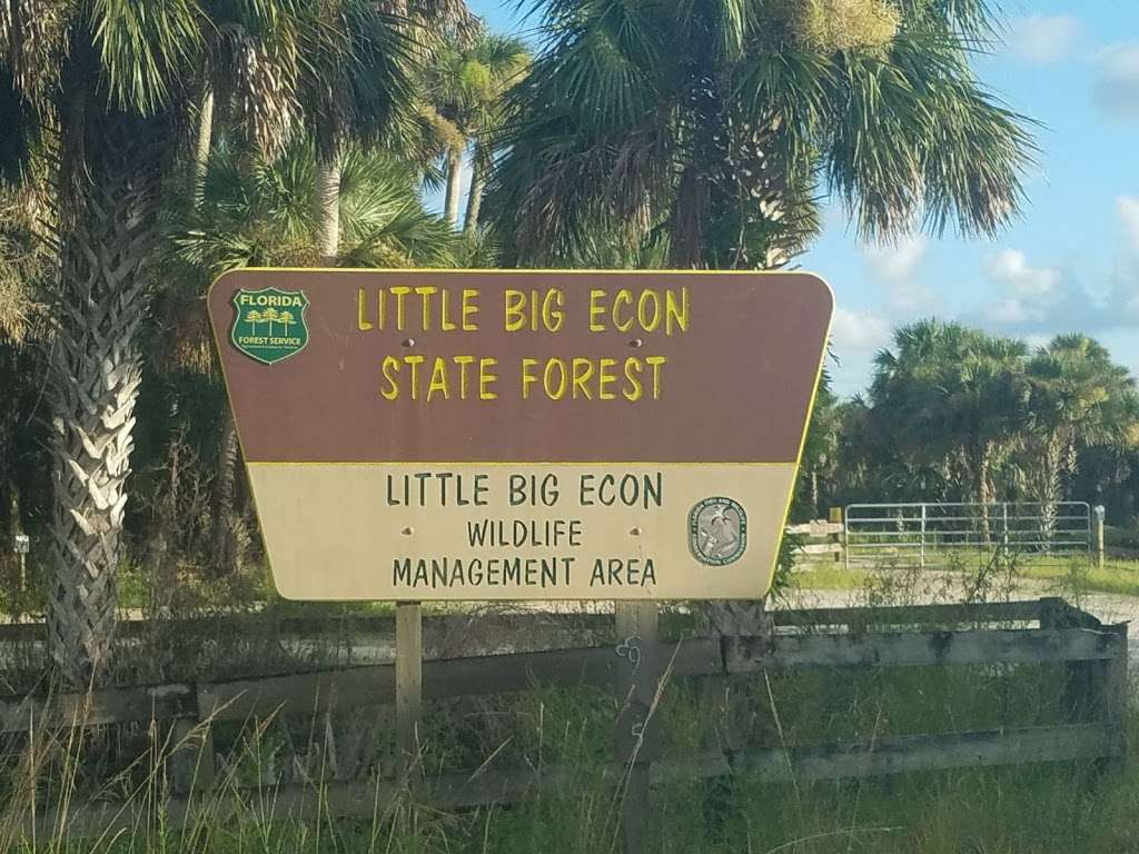 Little Big Econ State Forest Kilbee Trailhead 131300000020 Mims Fl 32754 Usa