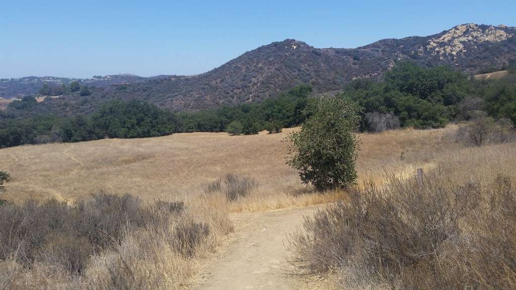 Musch Hike In Camp | Topanga, CA 90290 | Phone: (310) 455-2465