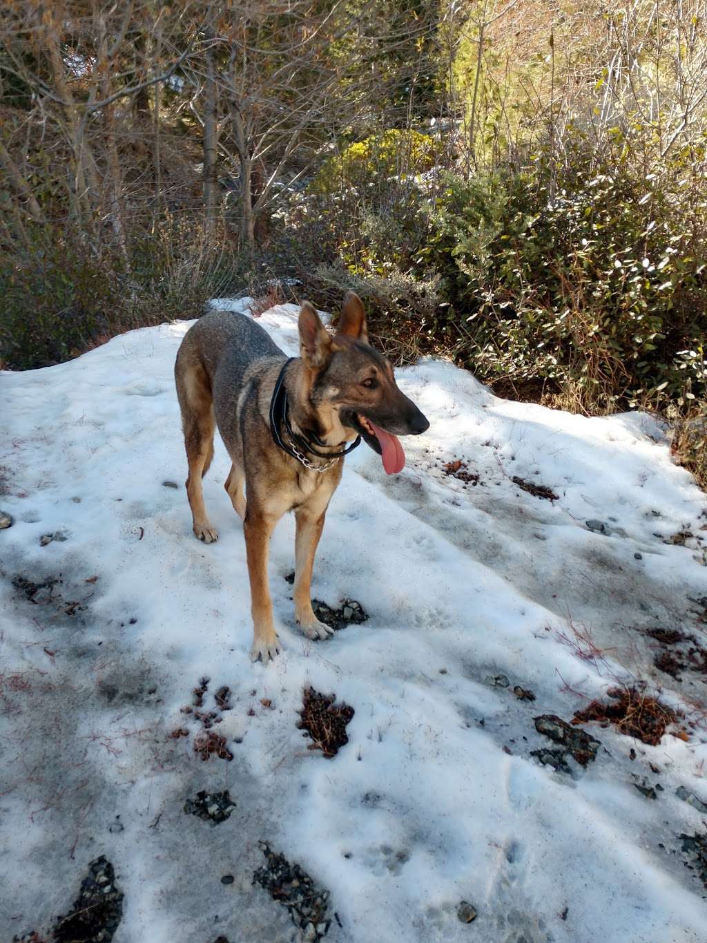 Big Horn Campground | Lytle Creek, CA 92358