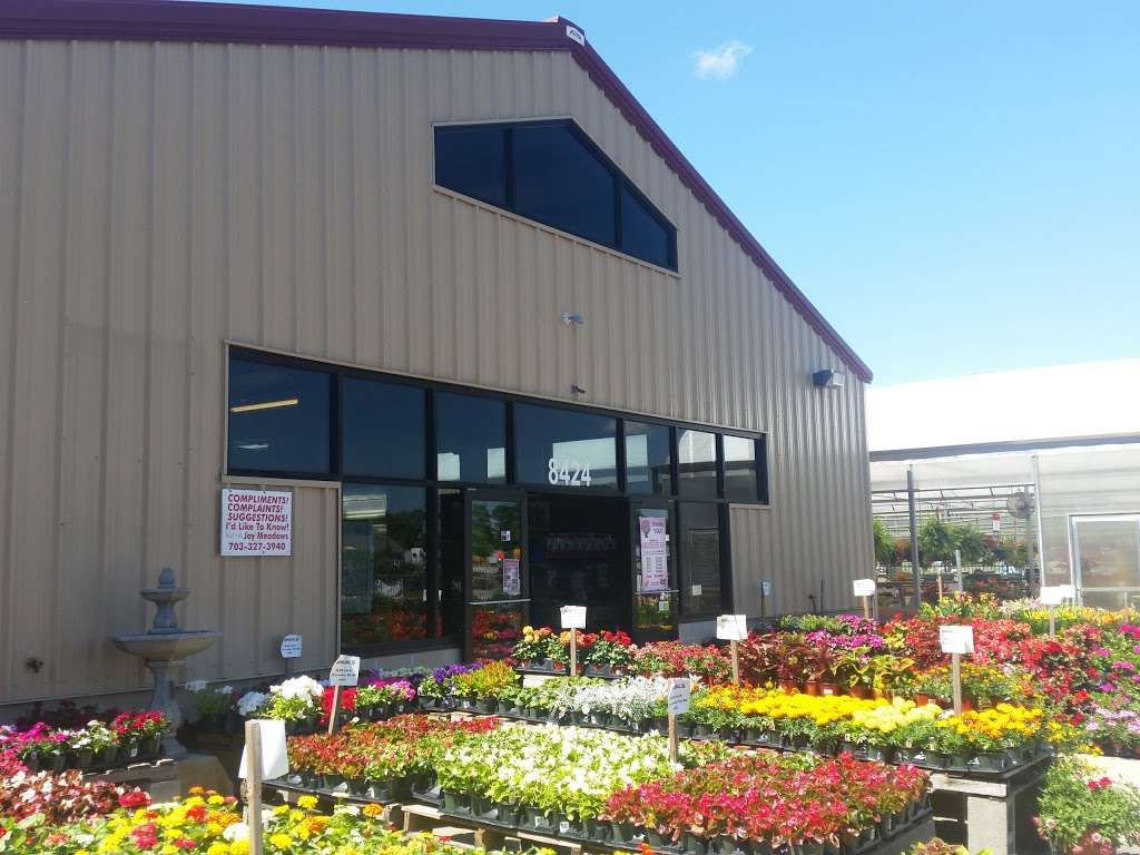 Meadows Farms Nurseries & Landscaping | 8424 Jefferson Davis Hwy, Fredericksburg, VA 22407, USA | Phone: (540) 710-8999