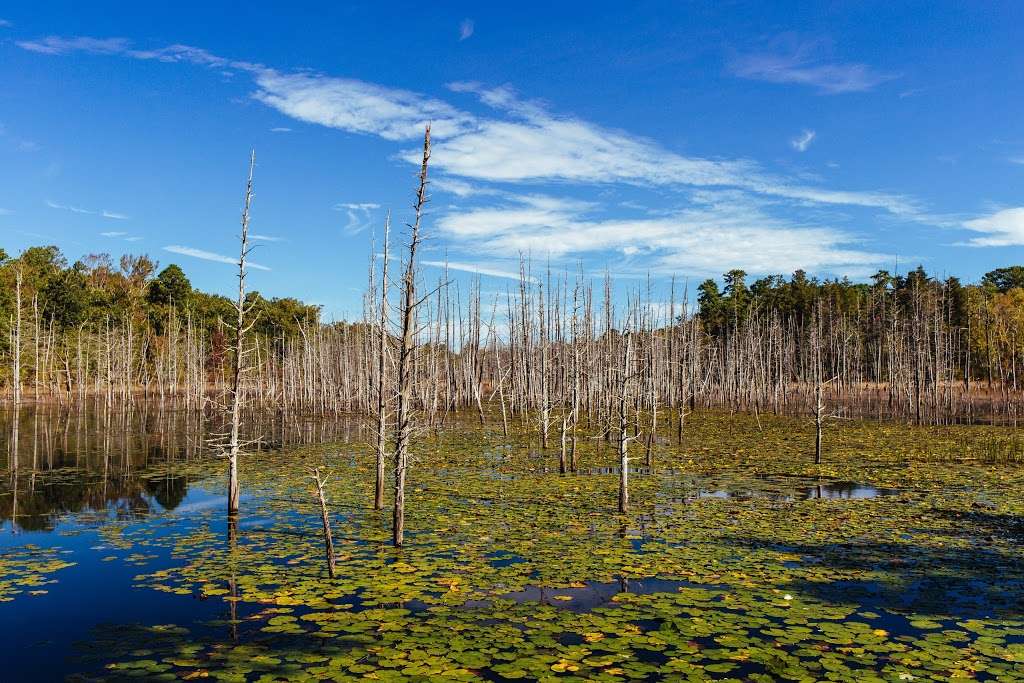 Ballanger Creek Habitat Enhancement Site | 5962 U.S. 9, Tuckerton, NJ 08087, USA