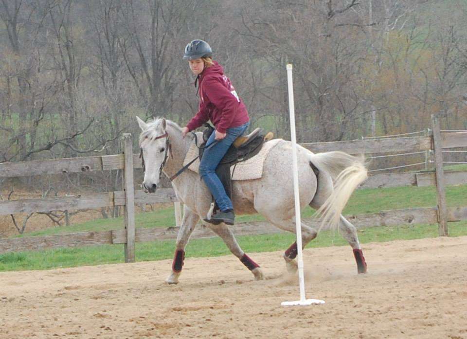 Opening Number Riding Academy | 40 Belle Rouge Farm Ln, North East, MD 21901, USA | Phone: (302) 388-6443