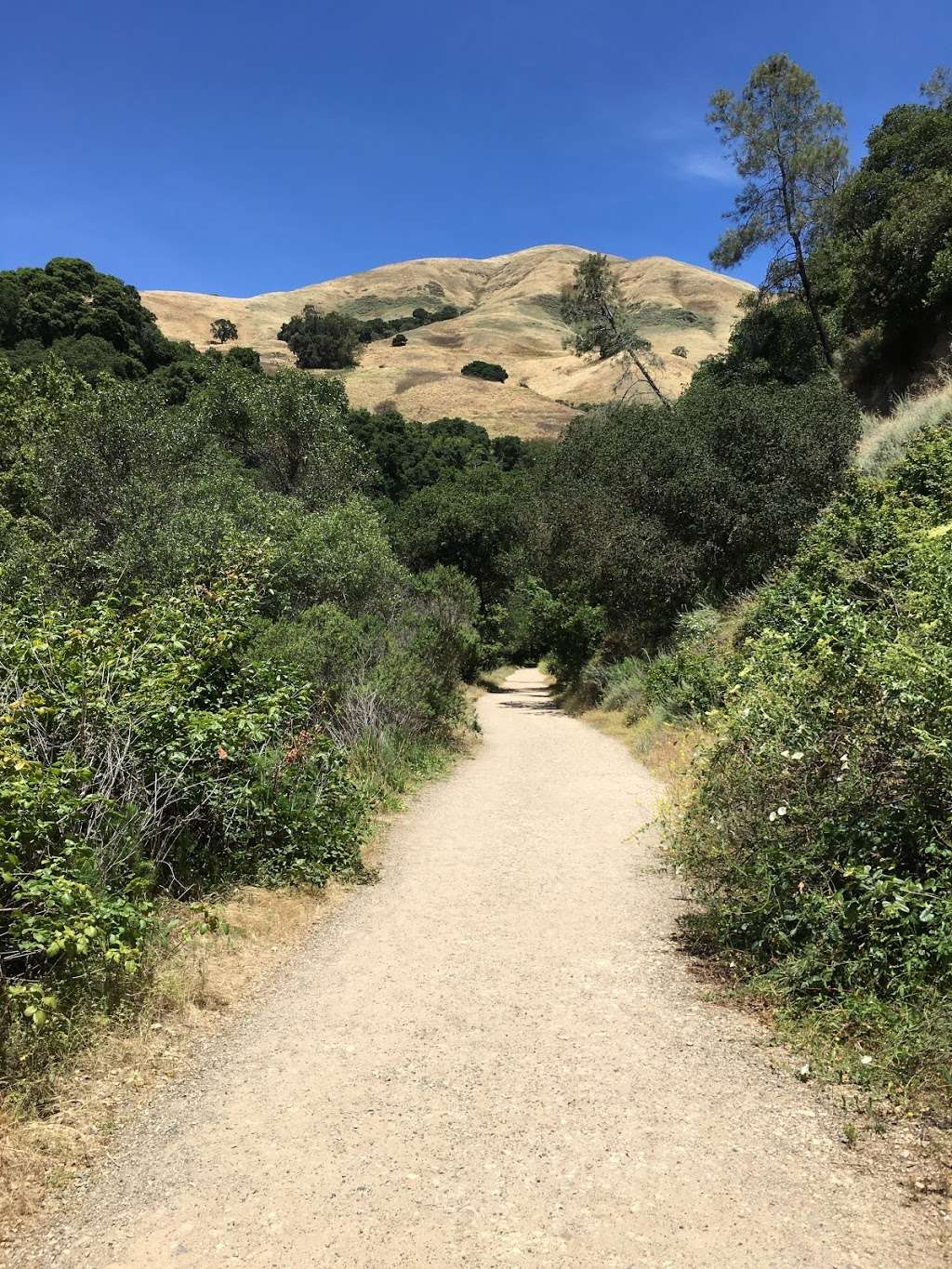 Alum Rock Park Parking | Unnamed Road, San Jose, CA 95127