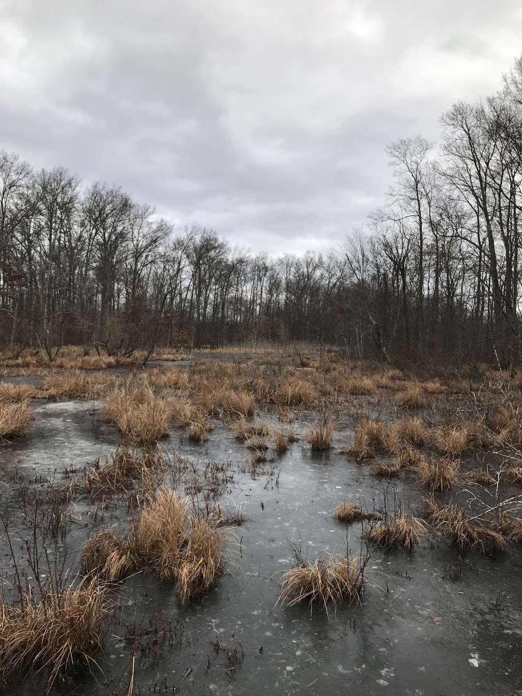 Great Swamp | Great Swamp Rd, Basking Ridge, NJ 07920, USA