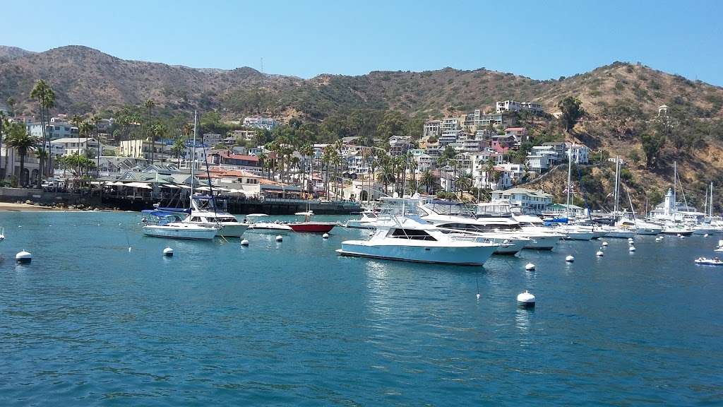 Catalina Tours | 205 Crescent Ave, Avalon, CA 90704, USA | Phone: (310) 510-0211