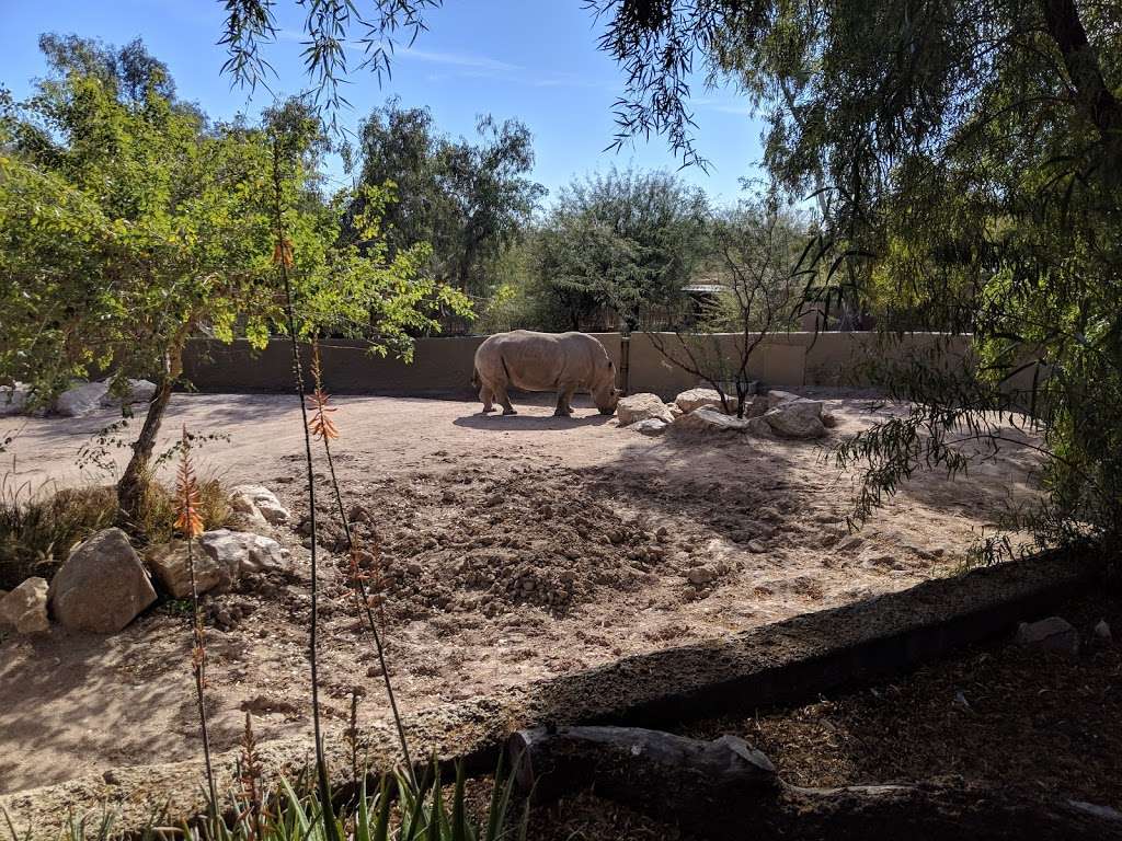 The Phoenix Zoo | Phoenix, AZ 85008, USA