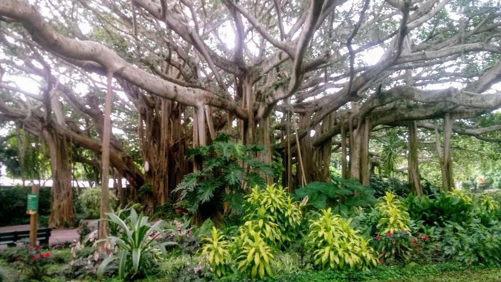 Cypress Gardens | 6000 Cypress Gardens Blvd, Winter Haven, FL 33884, USA | Phone: (888) 690-5346