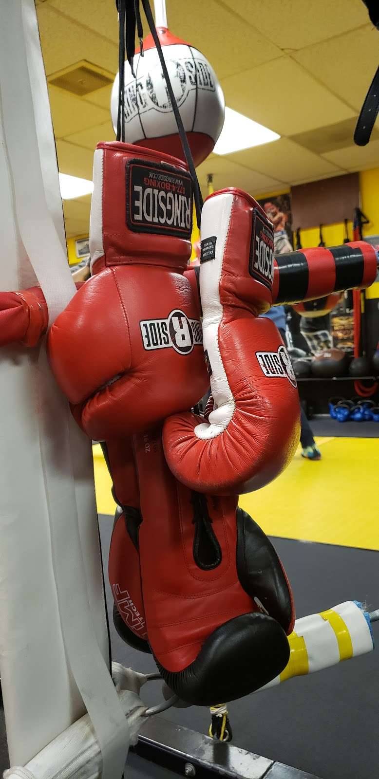 First2fight Boxing Club | 50 Lichtenberg Ave # 3, Sonoma, CA 95476, USA | Phone: (707) 721-6205