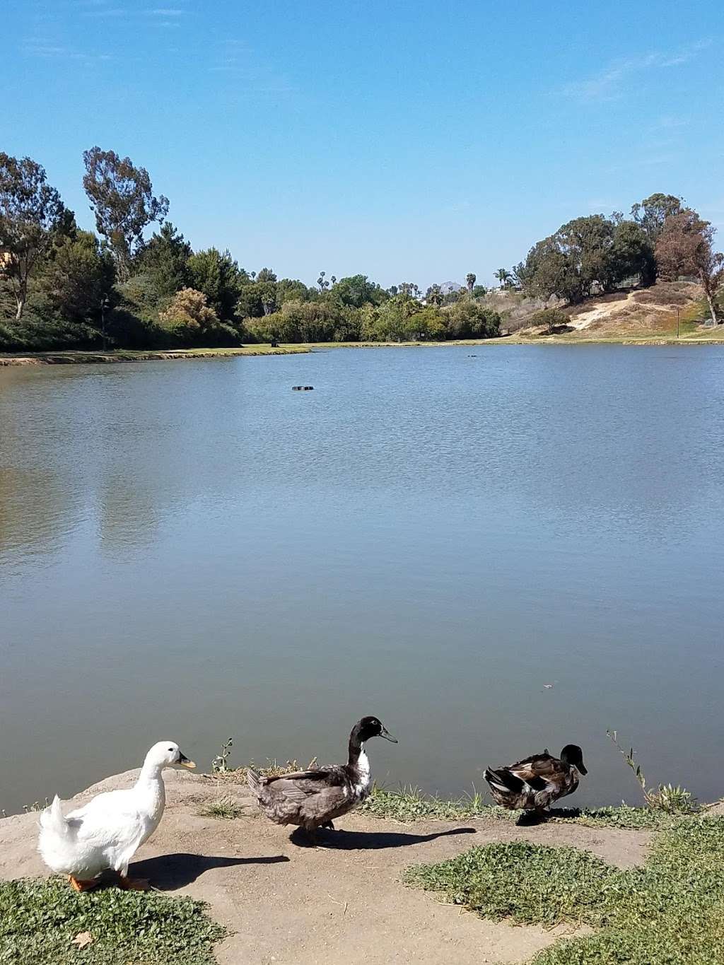 Libby Lake City Park | 424 Calle Montecito, Oceanside, CA 92057, USA | Phone: (760) 435-3600