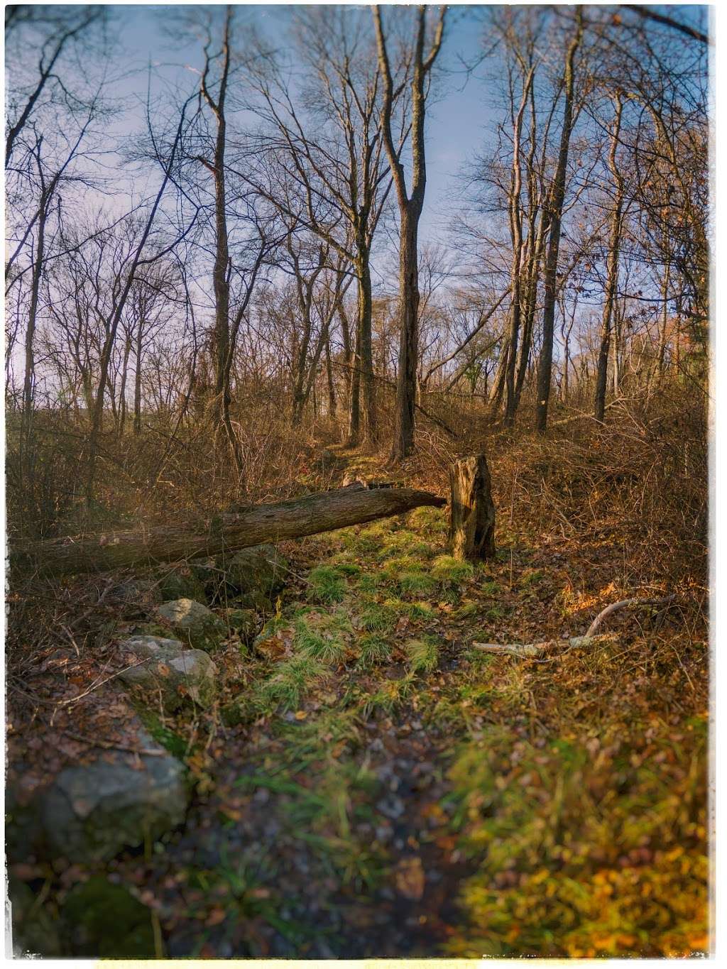 Turkey Hill Conservation Area | Pineswamp Rd, Ipswich, MA 01938, USA