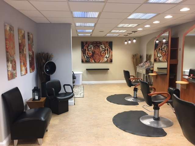 Salon Pazza Bella | 178 W Ridge Pike, Limerick, PA 19468, USA | Phone: (484) 791-3470