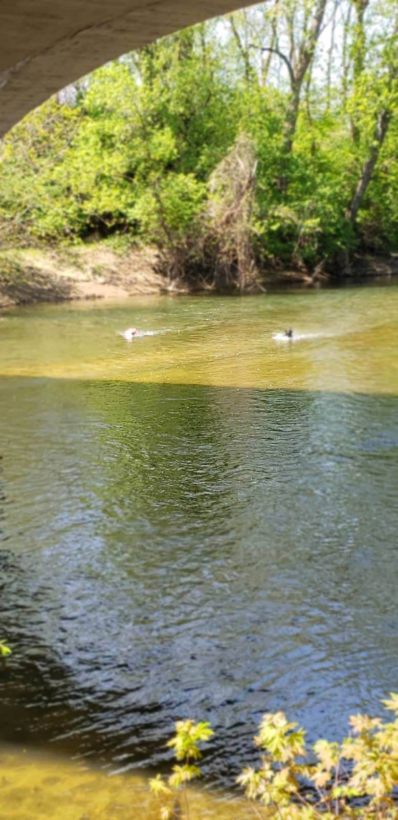 Killbuck Wetlands | E Grand Ave, Anderson, IN 46012, USA