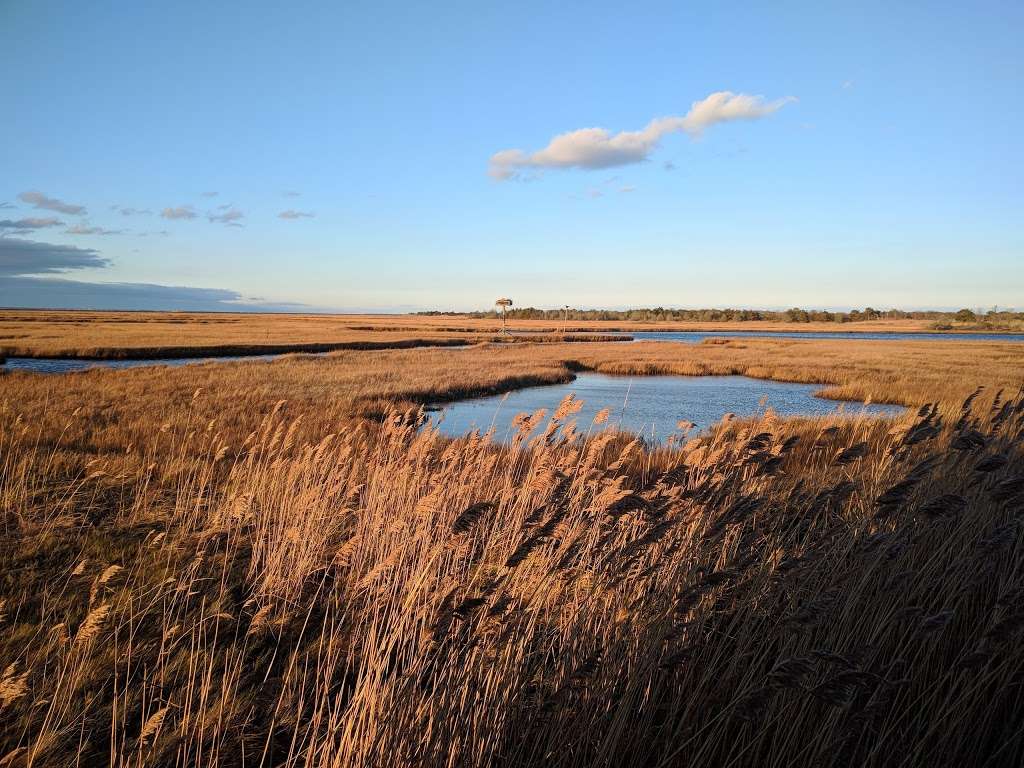 Spizzle Creek Bird Blind | Spizzle Creek Bird Blind Trail, Lanoka Harbor, NJ 08734 | Phone: (732) 830-1835