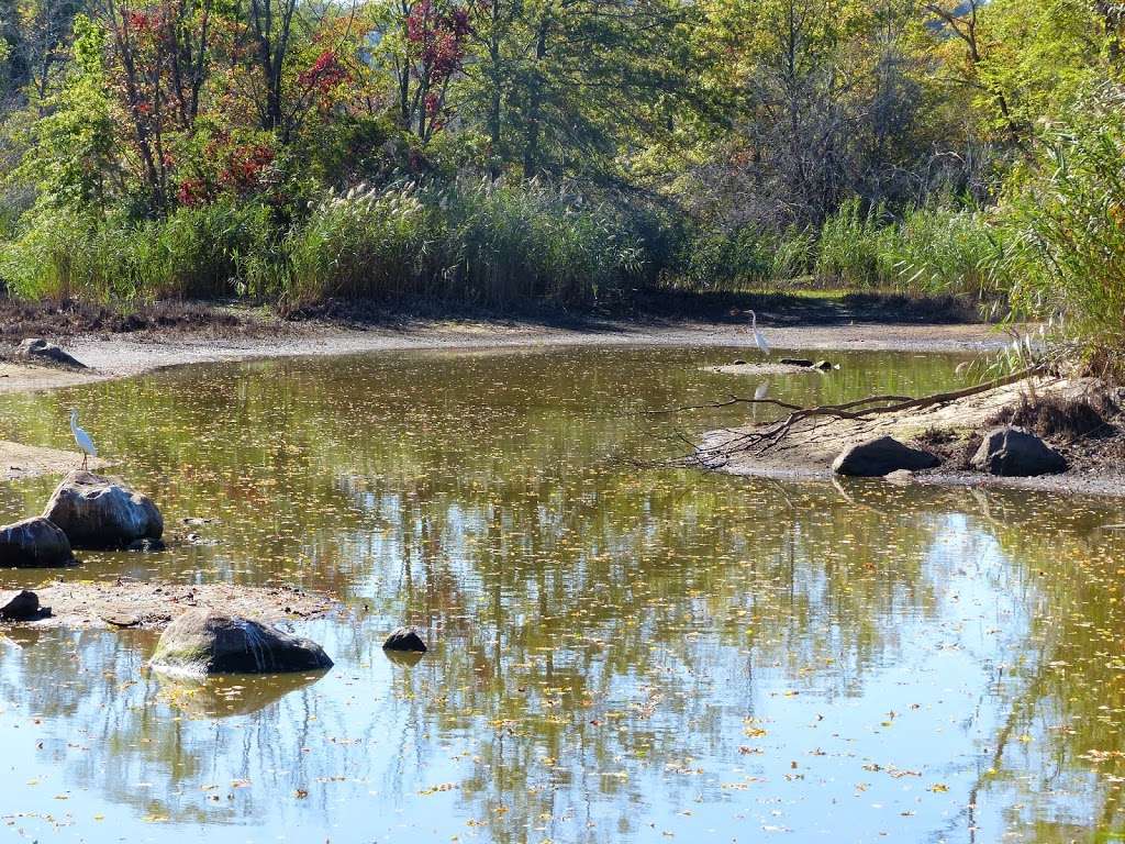 Hempstead Harbor Natural Area | Port Washington, NY 11050