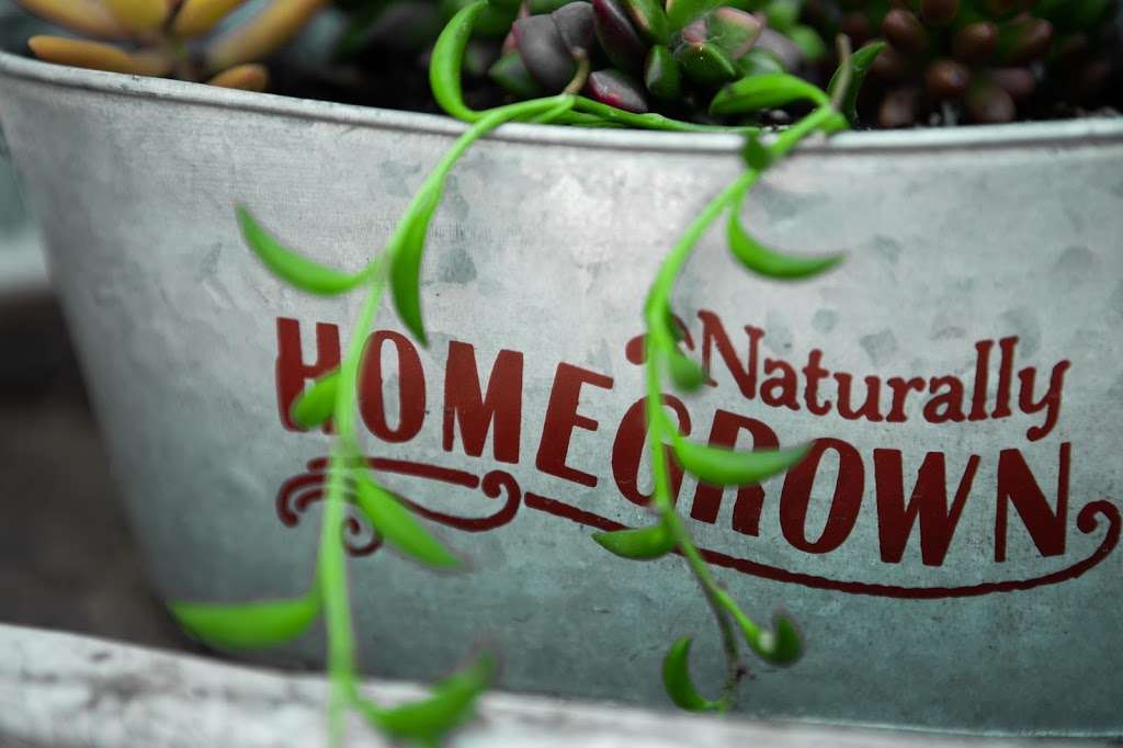 Homegrown Garden Supply | 841 Rancheros Dr, San Marcos, CA 92069, USA | Phone: (760) 746-0875